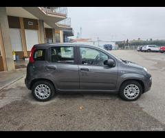 Fiat Panda 1.2 Benzina - OK Neopatentati - 9