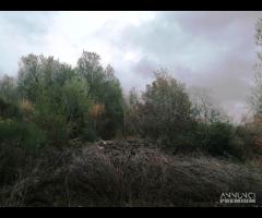 TERRENO EDIFICABILE RURALE VILLA S G TUSCIA VT - 6