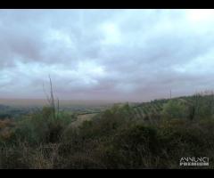 TERRENO EDIFICABILE RURALE VILLA S G TUSCIA VT - 8