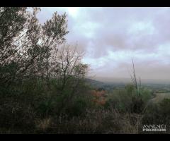 TERRENO EDIFICABILE RURALE VILLA S G TUSCIA VT - 9