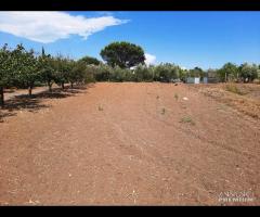 TERRENO  BOCCEA DOPO SELVA CANDIDA E 150000