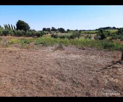 TERRENO  BOCCEA DOPO SELVA CANDIDA E 150000