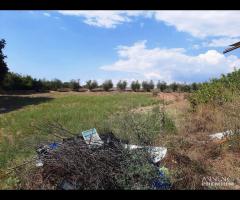 TERRENO  BOCCEA DOPO SELVA CANDIDA E 150000 - 7