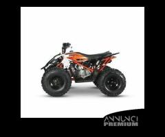 Quad Predator 110 cc 4 Tempi Automatico