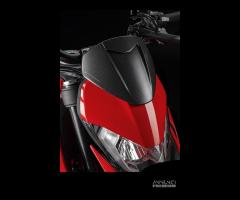 CUPOLINO IN CARBONIO PER  DUCATI HYPERMOTARD 950