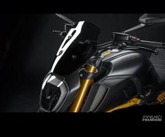 CUPOLINO SPORT FUMè PER DUCATI DIAVEL 1260 / S