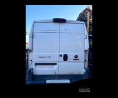 PORTE POSTERIORI BATTENTI  FIAT DUCATO 2006> 190H - 1