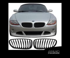 Coppia Reni/griglie nero BMW Z4 E85 E86 02-09