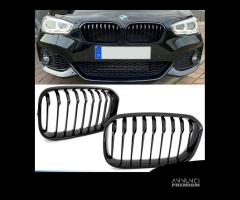 Coppia griglie performance per Bmw Serie 1 F20/F21