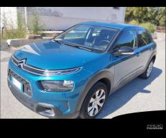 Citroen C4 Cactus BlueHDi 100 S&S Live