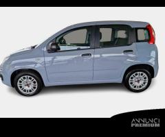 FIAT PANDA 1.2 69cv S/S E6d-Temp Easy 5 PORTE