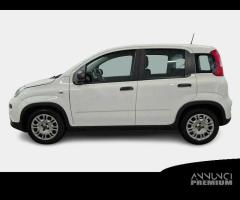 FIAT PANDA 1.0 FireFly 70cv S/S Hybrid 5 PORTE