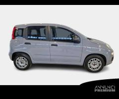 FIAT PANDA 1.2 69cv S/S E6d-Temp Easy 5 PORTE