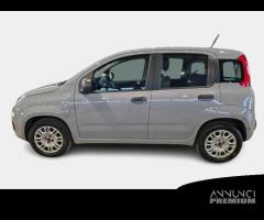 FIAT PANDA 1.2 69cv S/S E6d-Temp Easy 5 PORTE