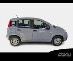 FIAT PANDA 1.2 69cv S/S E6d-Temp Easy 5 PORTE