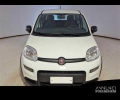 FIAT PANDA 1.0 FireFly 70cv S/S Hybrid 5 PORTE