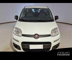 FIAT PANDA 1.2 69cv S/S E6d-Temp Easy 5 PORTE