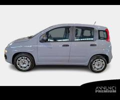 FIAT PANDA 1.2 69cv S/S E6d-Temp Easy 5 PORTE