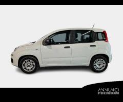 FIAT PANDA 1.2 69cv S/S E6d-Temp Easy 5 PORTE - 1