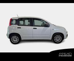 FIAT PANDA 1.2 69cv S/S E6d-Temp Easy 5 PORTE - 4