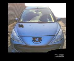 Ricambi Peugeot 206 Plus 1.1 del 2010