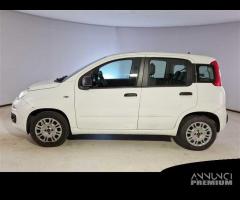 FIAT PANDA 1.2 69cv S/S E6d-Temp Easy 5 PORTE