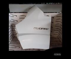 PARAFANGO ANTERIORE SINISTRO FIAT DUCATO 2006 IN P