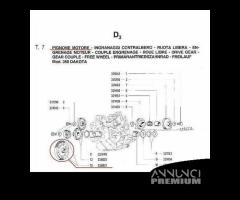 Coppia primaria Gilera Dakota 350 - 328021 - 3