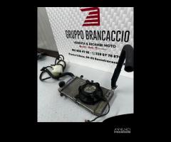 Radiatore completo con ventola Honda silver wing 4