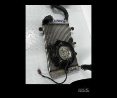 Radiatore completo con ventola Honda silver wing 4