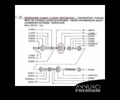 Ingranaggio 1 marcia Gilera KK e KZ 324008