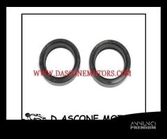 Coppia Paraolio Forcella DUCATI MONSTER Athena 400