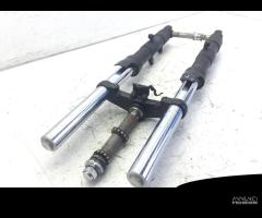 FORCELLA RUOTA ANTERIORE YAMAHA FZ6 S2 600 2008 RJ - 13