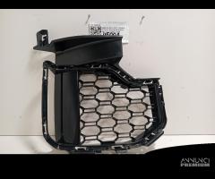 GRIGLIA PARAURTI BMW X5 Serie (E70) 8069210 M57D30