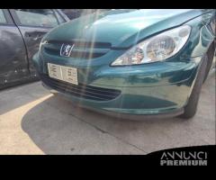 Paraurti anteriore PEUGEOT 307 del 2002