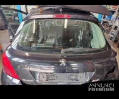 Portellone nudo PEUGEOT 207 del 2009