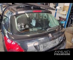 Portellone nudo PEUGEOT 207 del 2009