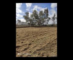 Terreno agricolo di 2700 mq a Varcaturo