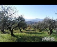 Piglio, indipendente da rifinire con terreno - 6