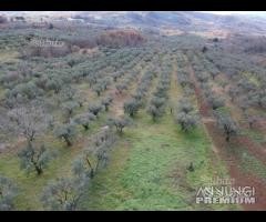 Piglio, indipendente da rifinire con terreno - 26