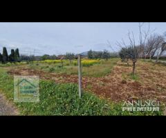 Genazzano, casa indipendente con terreno