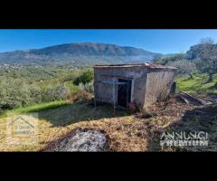 Paliano, casaletto con terreno ad uliveto - 13