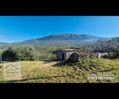 Paliano, casaletto con terreno ad uliveto - 15