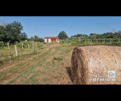 Piglio, rustico con terreno pianeggiante