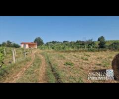 Piglio, rustico con terreno pianeggiante