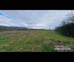 Palestrina, terreno agricolo di 2.5 ettari