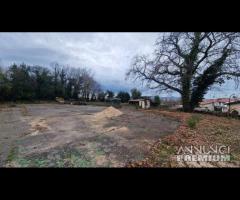 Palestrina, terreno agricolo in zona centrale