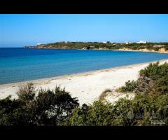 Nuova Villa 400 mt dalla spiaggia Le Saline - 10