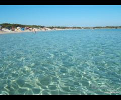 Nuova Villa 400 mt dalla spiaggia Le Saline - 14