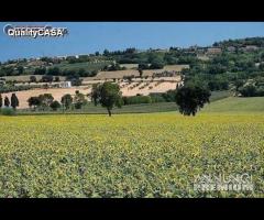 Casa singola con terreno RECANATI - 10